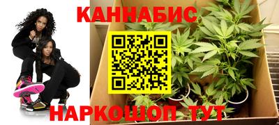 сатива Пыть-Ях