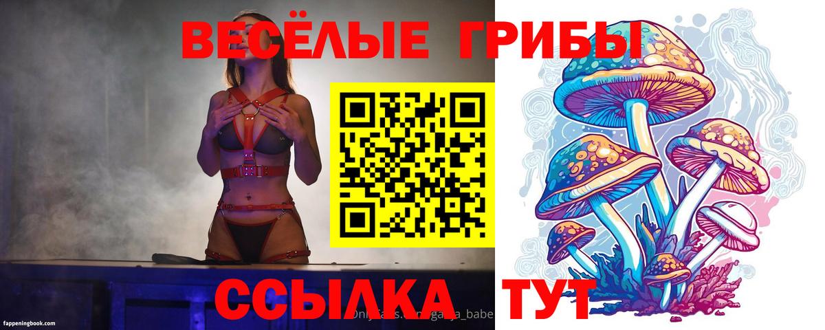 Галлюциногенные грибы Psilocybe Прохладный